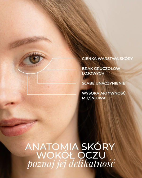 Infografika ze zbliżeniem na okolicę oka kobiety oraz informacją o anatomii skóry okolicy oczu