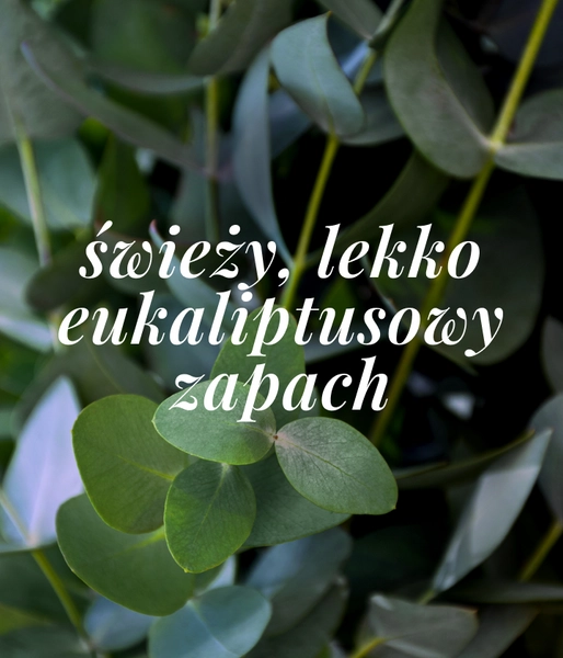 Mineralny dezodorant pielęgnujący dla skóry normalnej SHIELD ME DAILY
