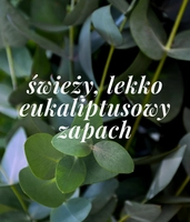 Mineralny dezodorant pielęgnujący dla skóry normalnej SHIELD ME DAILY