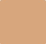 4.0 N Amber