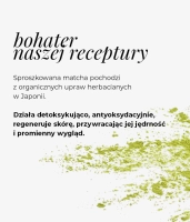  Peeling enzymatyczny z kompleksem kwasów AHA Phytocomplex 10%, PHA 10%, BHA - MATCHA POWER PEEL